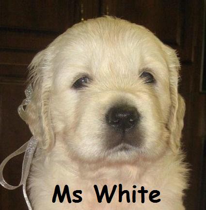Ms White - Week 5