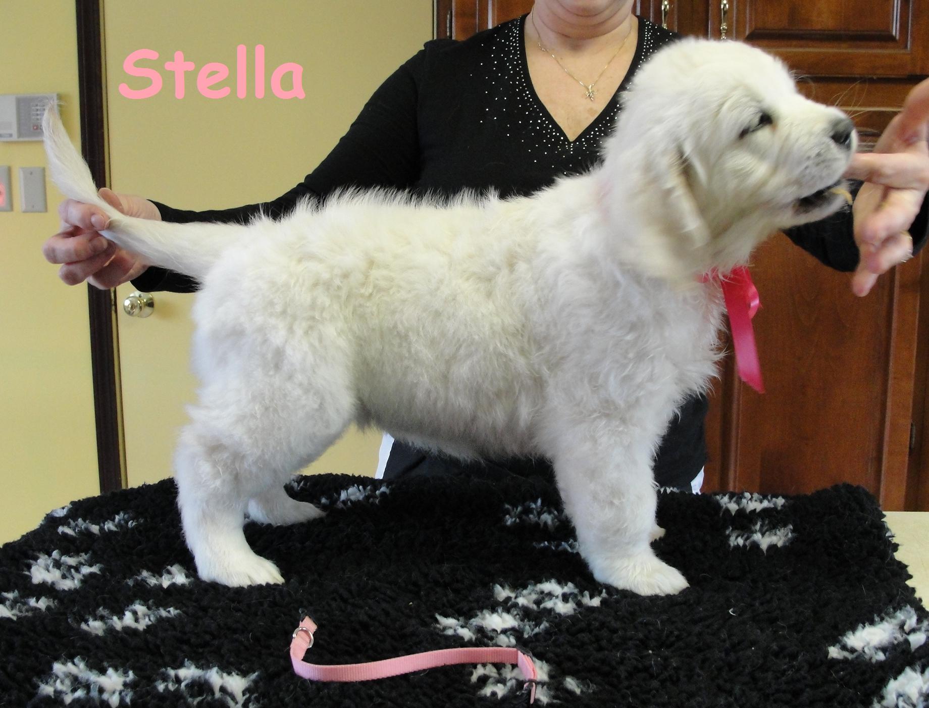 Stella Standing