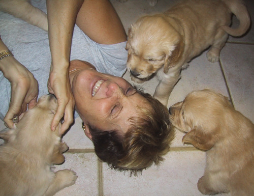 Gayle and puppies